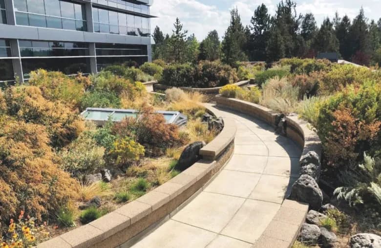 Finished garden or local storefront