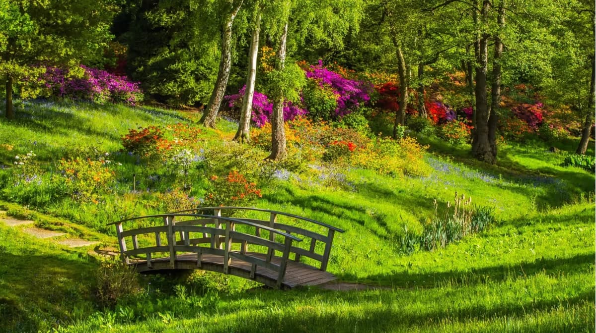 Rendering of a native garden